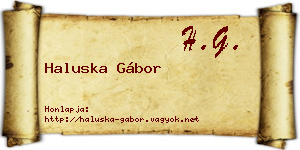 Haluska Gábor névjegykártya